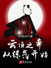云顶之弈从练气开始在线阅读