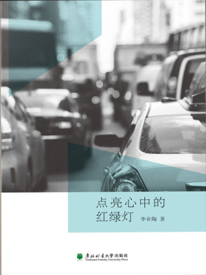 点亮心中的红绿灯在线阅读