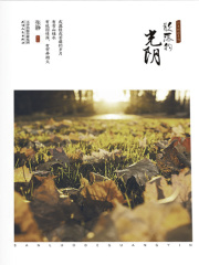 散落的光阴