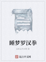 睡梦罗汉拳在线阅读