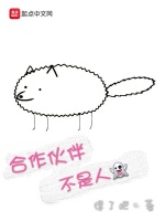 合作伙伴不是人最新章节在线阅读