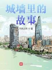 城墙里的故事在线阅读