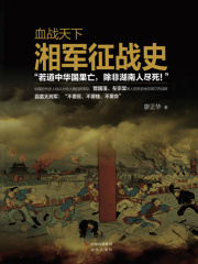 血战天下：湘军征战史