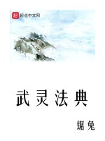 武灵法典在线阅读