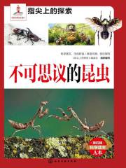 不可思议的昆虫