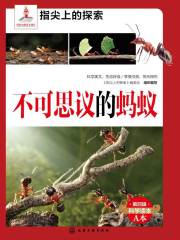 不可思议的蚂蚁