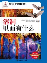 溶洞里面有什么