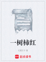 一树柿红在线阅读