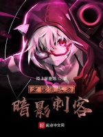 全职法师之暗影刺客最新章节在线阅读