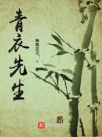 青衣先生封面