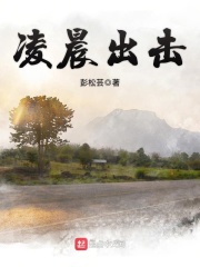 凌晨出击在线阅读