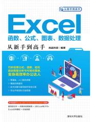 Excel函数、公式、图表、数据处理从新手到高手