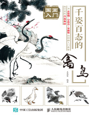 国画入门：千姿百态的禽鸟