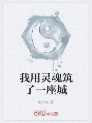 我用灵魂筑了一座城