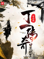 丁一传奇目不识丁在线阅读