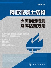 钢筋混凝土结构火灾损伤检测及评估新方法
