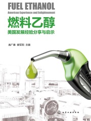 燃料乙醇：美国发展经验分享与启示