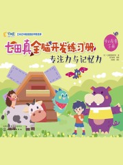 七田真全脑开发练习册：专注力与记忆力（幼小衔接）下册