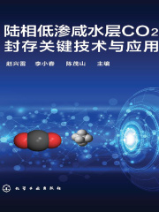 陆相低渗咸水层CO2封存关键技术与应用
