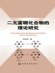二元富硼化合物的理论研究
