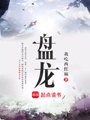 《盘龙》（校对完本）作者：我吃西红柿