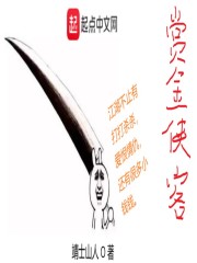 赏金侠客在线阅读
