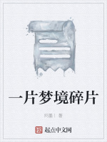 一片梦境碎片在线阅读
