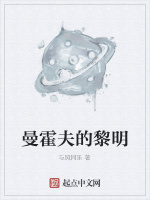 曼霍夫的黎明在线阅读