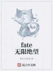 fate无限绝望