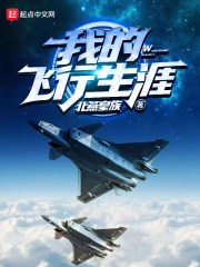 我的飞行生涯在线阅读