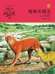 母豺火烧云（升级版）（动物小说大王沈石溪·品藏书系）