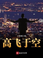 高飞于空在线阅读