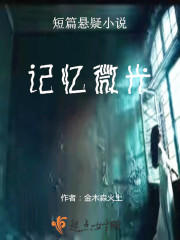 记忆微光在线阅读