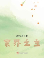 寰界之主在线阅读
