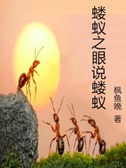 蝼蚁之眼说蝼蚁在线阅读