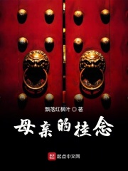 母亲的挂念在线阅读