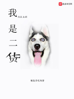 我的队友都是二货在线阅读