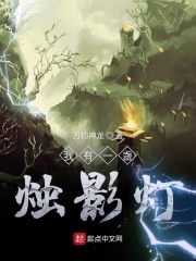 我有一盏烛影灯在线阅读