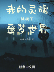 我的灵魂链接了噩梦世界在线阅读