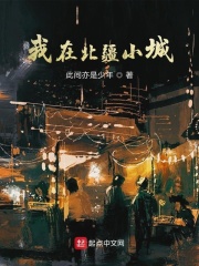 我在北疆小城在线阅读