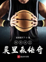 NBA之莫里森传奇在线阅读