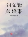 刘文智的婚事在线阅读
