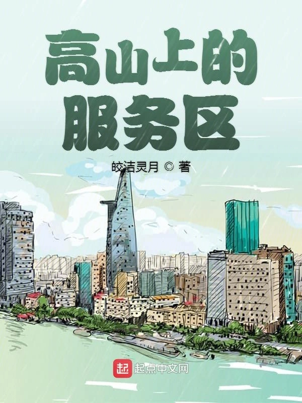 高山上的服务区