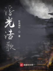 浮光浩歌在线阅读