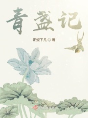 青盏记在线阅读
