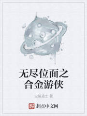 无尽位面之合金游侠