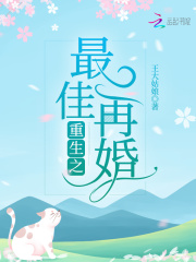 重生之最佳再婚在线阅读