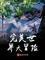 完美世界大冒险