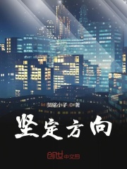 坚持的方向在线阅读