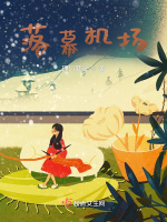 落幕机场在线阅读